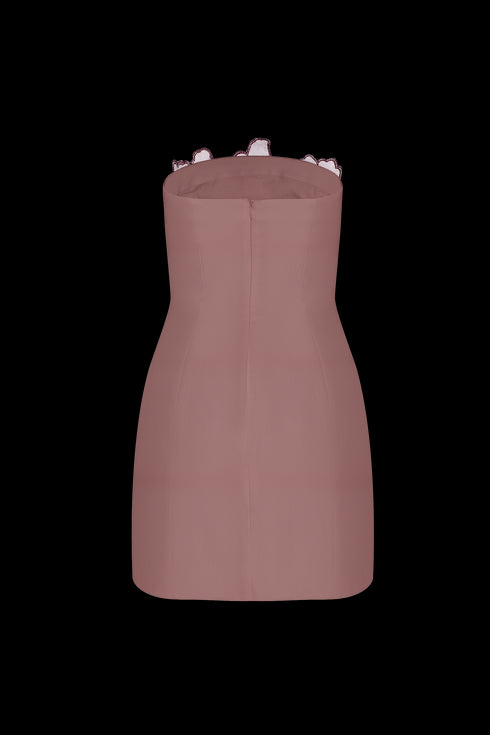 Mini Vestido Ciao Cherry Blush