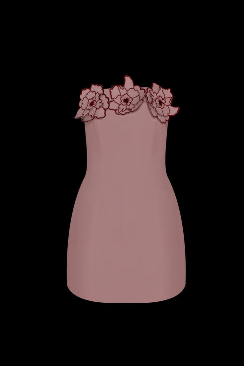 Mini Vestido Ciao Cherry Blush