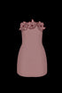 Mini Vestido Ciao Cherry Blush
